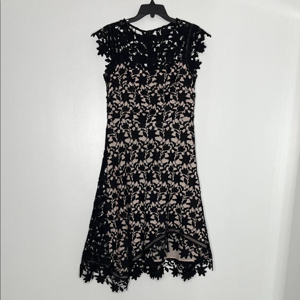 ELIZA J Scalloped Embroidered Lace A Line Dress Sz 8